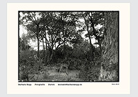 Referenzwebsite barbarakopp.ch